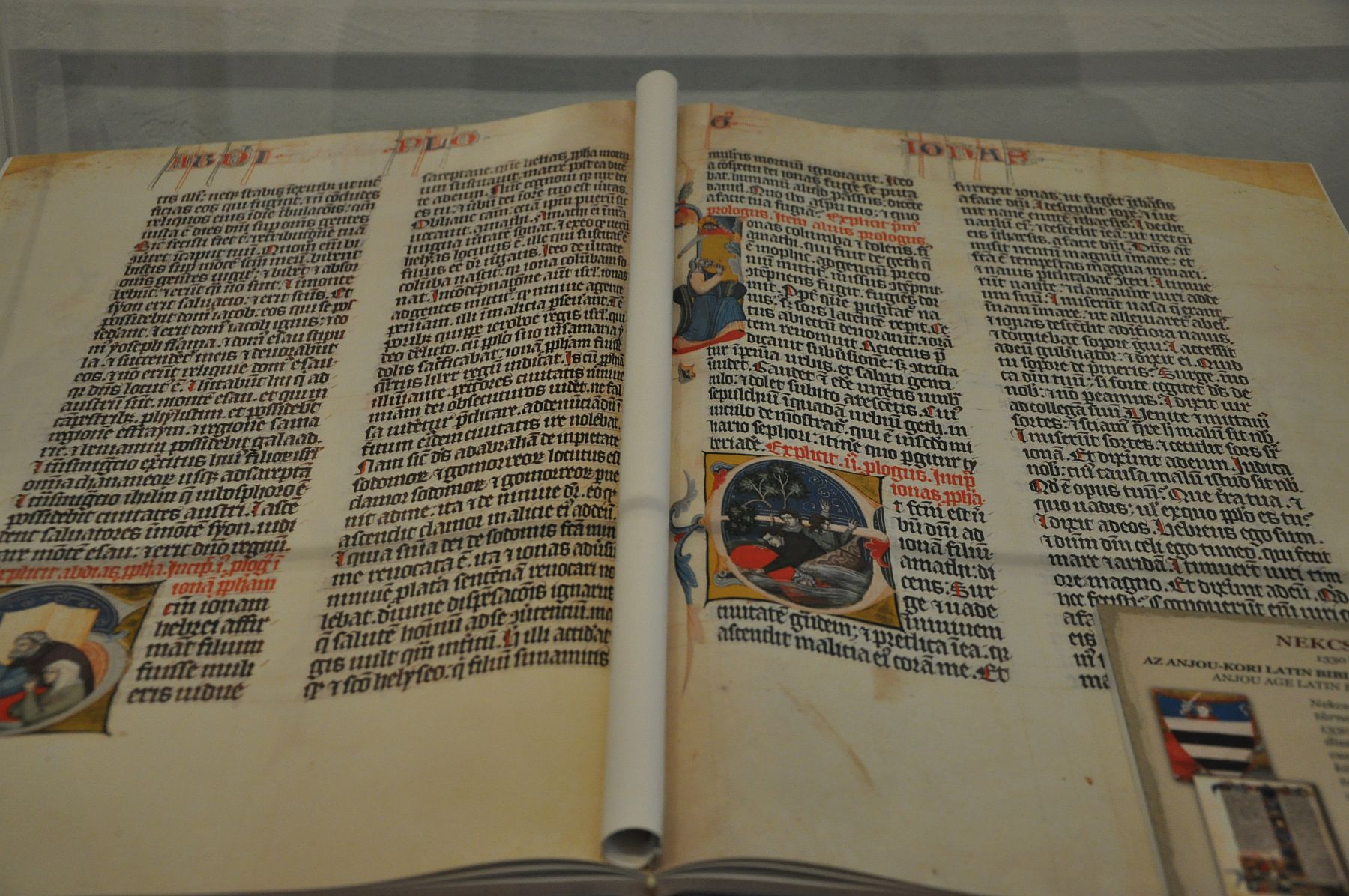 Bibliakiállítás a Múzeum Megyeház utcai épületében